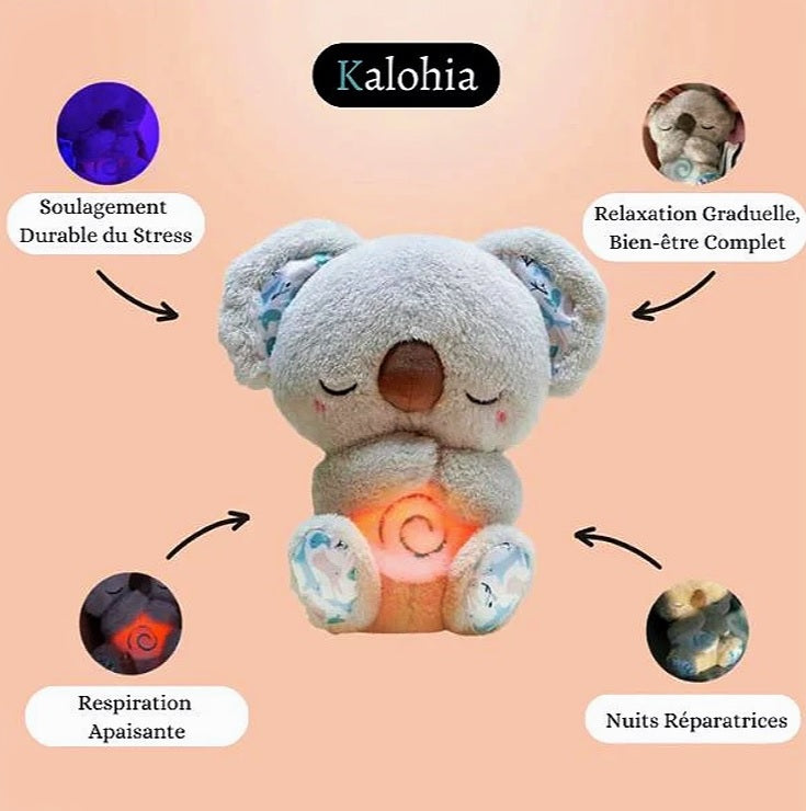 Koala Rilassante – Il tuo partner per una serenità interiore