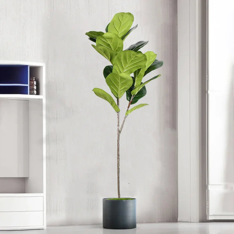 Ficus Interno Realistico